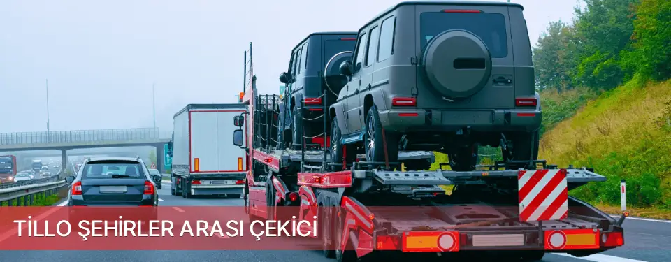 Tillo İlçemi Şehirler Arası Çekici